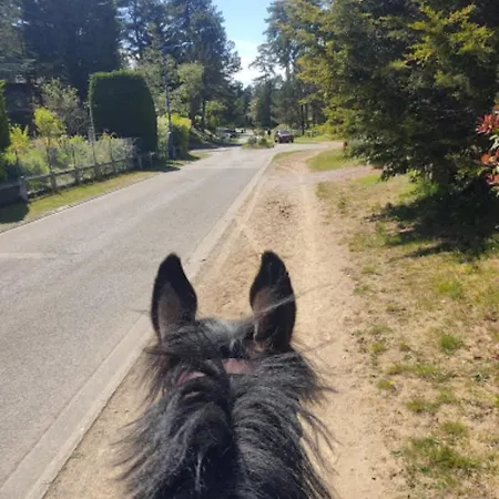 Les Pins Penches Hardelot