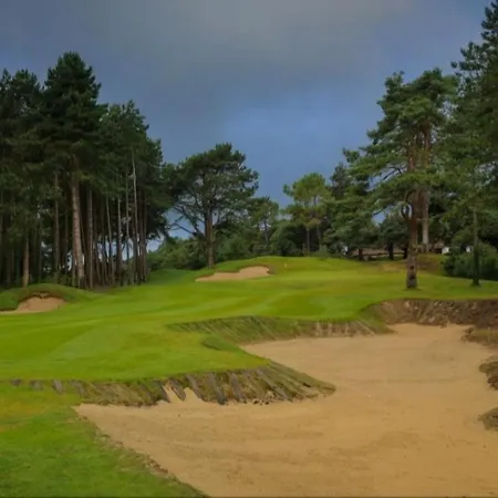 Les Pins Penches Hardelot Daire *