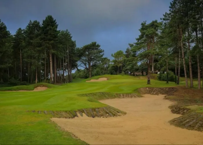 Les Pins Penches Hardelot شقة *